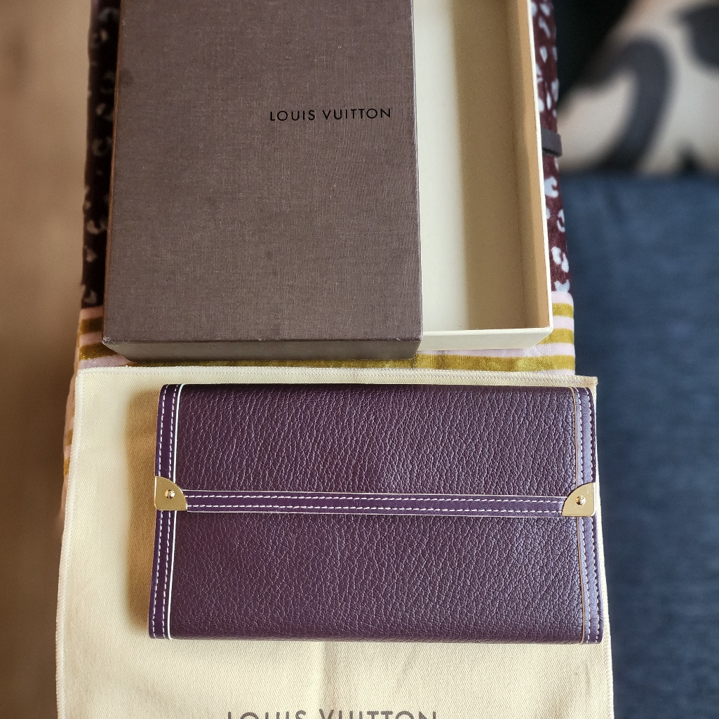 Louis Vuitton Checkbook Wallet